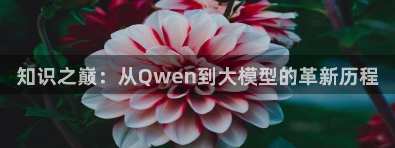 息壤中文网官方入口：知识之巅：从Qwen到大模型的革新历程