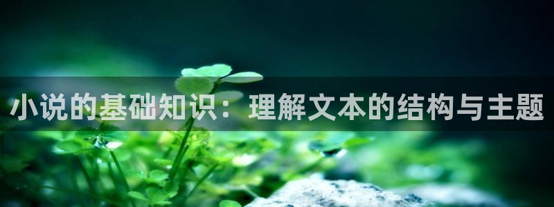灾难紧急逃生息壤中文网：小说的基础知识：理解文本的结构与主题