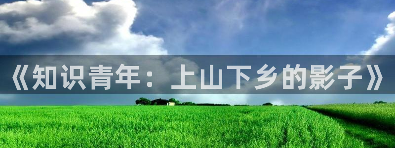 息壤中文网网站：《知识青年：上山下乡的影子》
