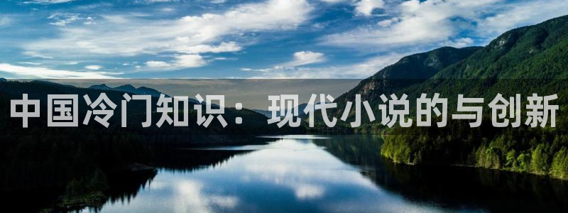 息壤中文网网站：中国冷门知识：现代小说的与创新
